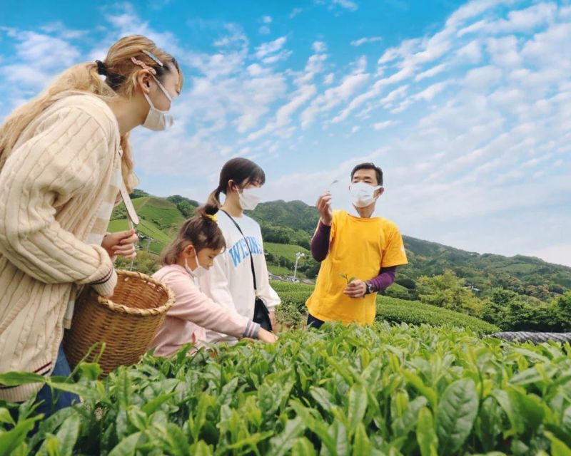 uji cha uji cha